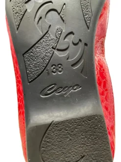 Ballerinas Größe 38