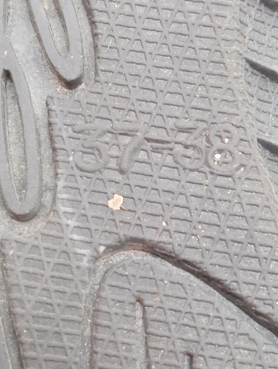 Flip Flop Sandalen Größe 37