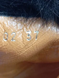 Kurzstiefel Größe 37