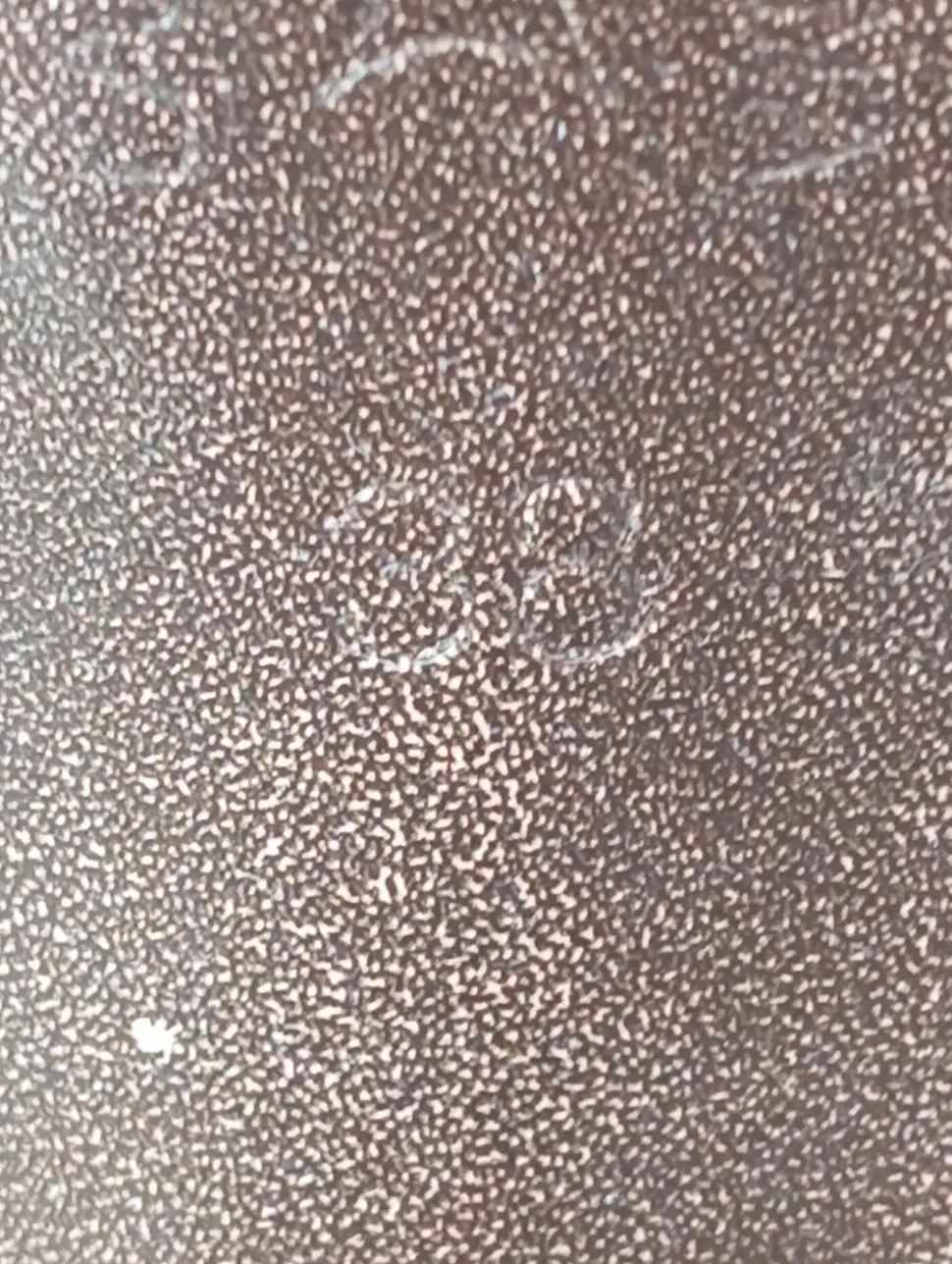 Reißverschluss-Stiefeletten Größe 38