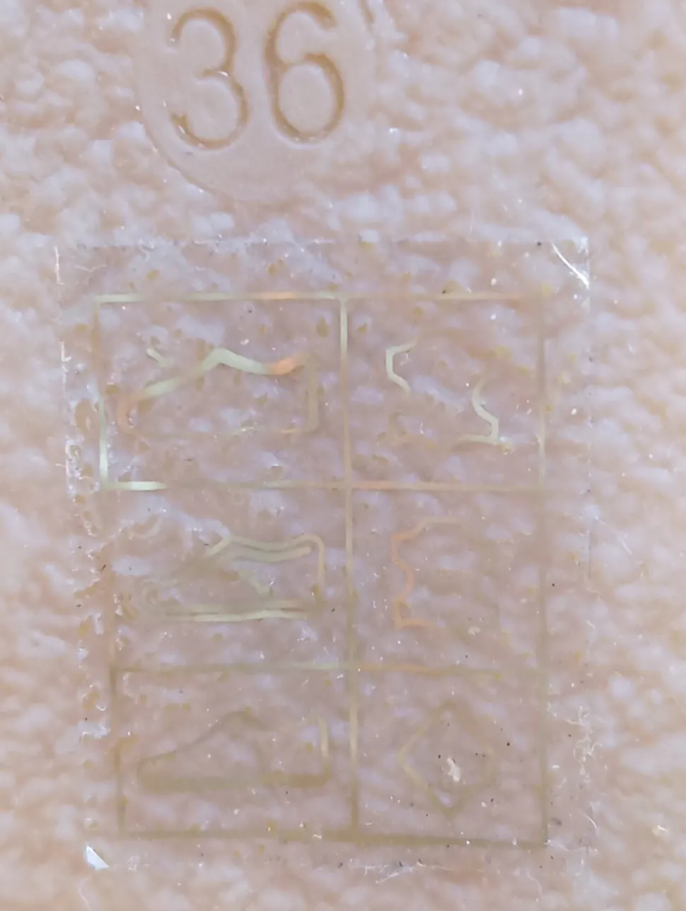 Schnür-Stiefeletten Größe 36