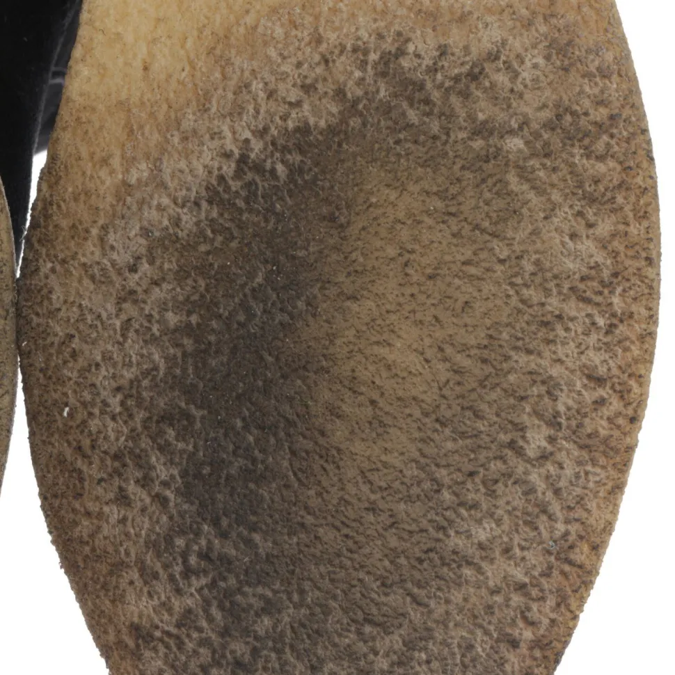 Stiefel Größe 36,5