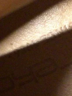 Stiefeletten Größe 39