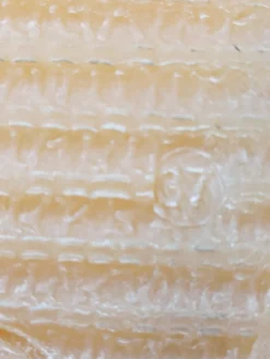 Winter-Stiefeletten Größe 37